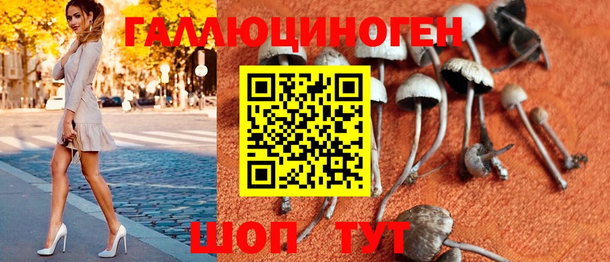 Невинномысск  Псилоцибиновые грибы GOLDEN TEACHER  Вход с VPN 